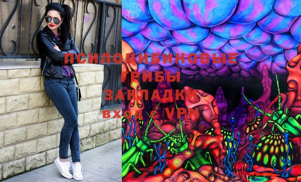МДПВ Алексин