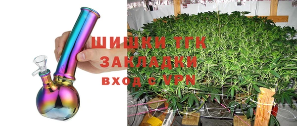 гашик Алексеевка