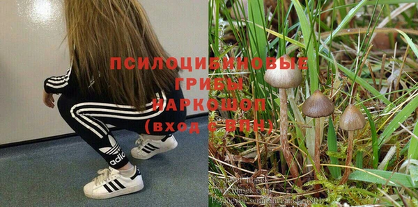 гашик Алексеевка