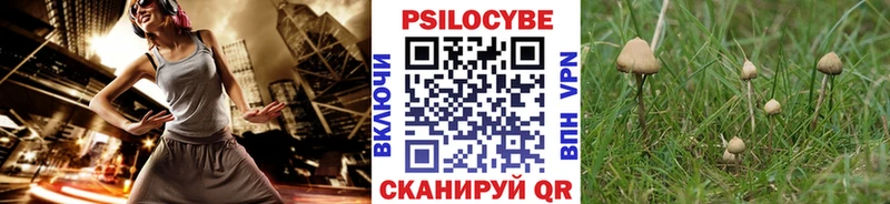 Галлюциногенные грибы прущие грибы  Купить где  Сорск 